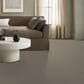 Shaw Tweed Comfort I Carpet in Stroke of Luck, , large
