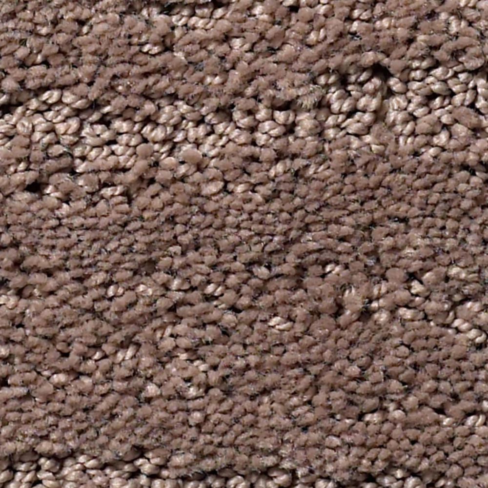 Anderson Tuftex Pose Carpet in Enigma, , large