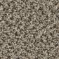 Shaw High Impact (B) Carpet in Fairview, , large