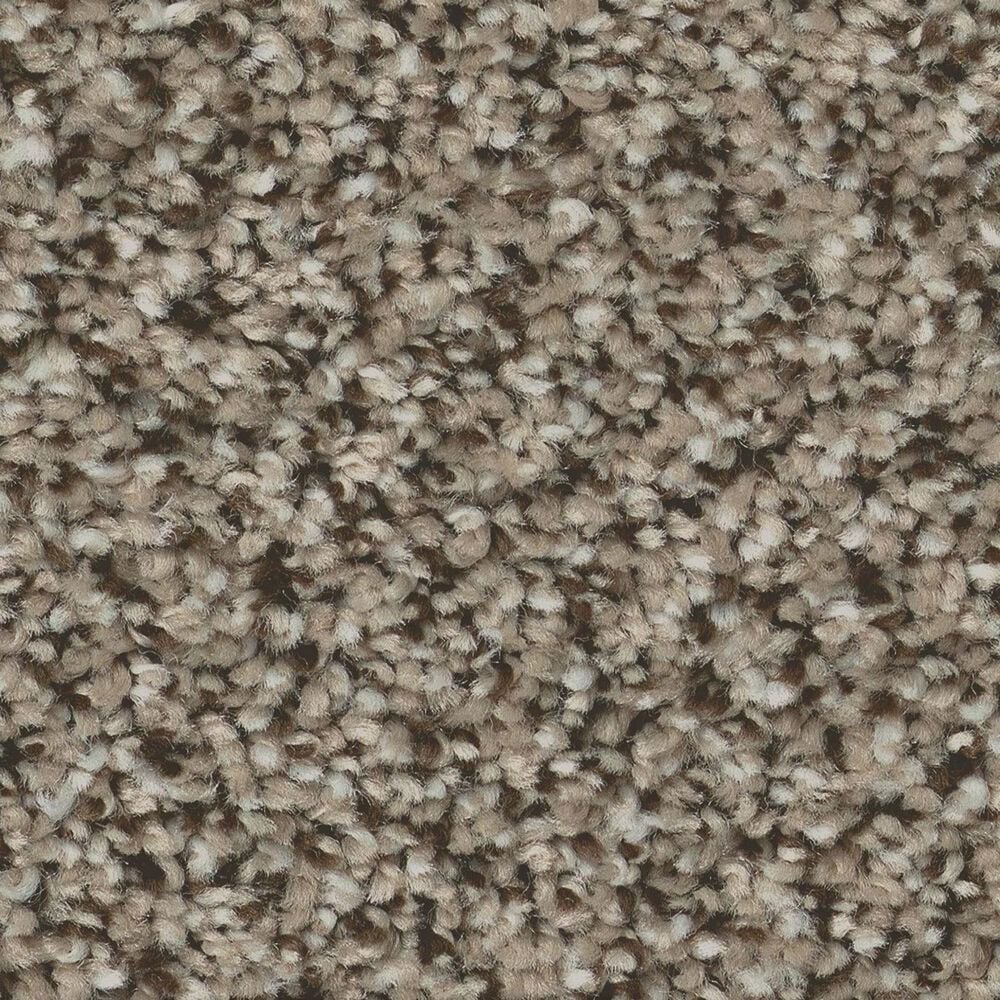 Shaw High Impact (B) Carpet in Fairview, , large