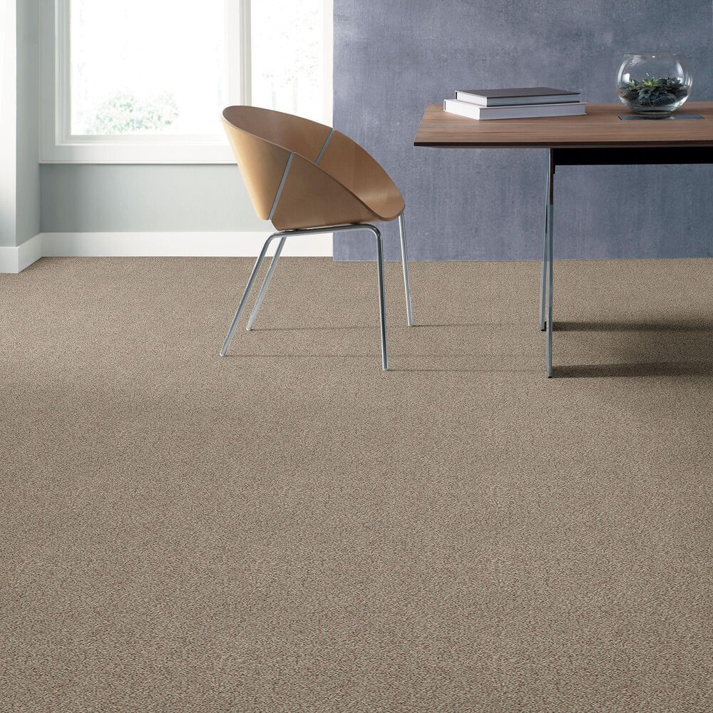 Shaw Find Your Comfort TA I Carpet in Backstage Pass, , large