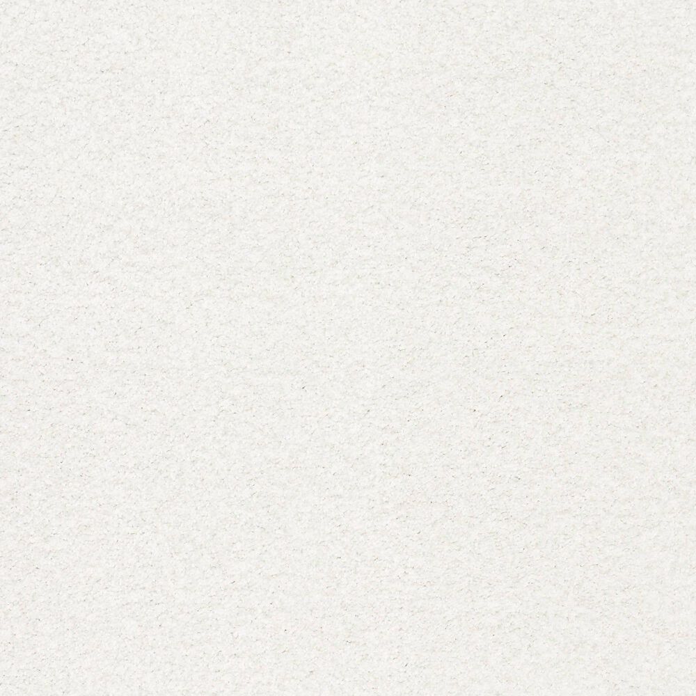 Shaw Tonal Comfort I Carpet in Gallery Opening, , large