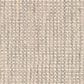 Masland Zeus Carpet in Ash, , large