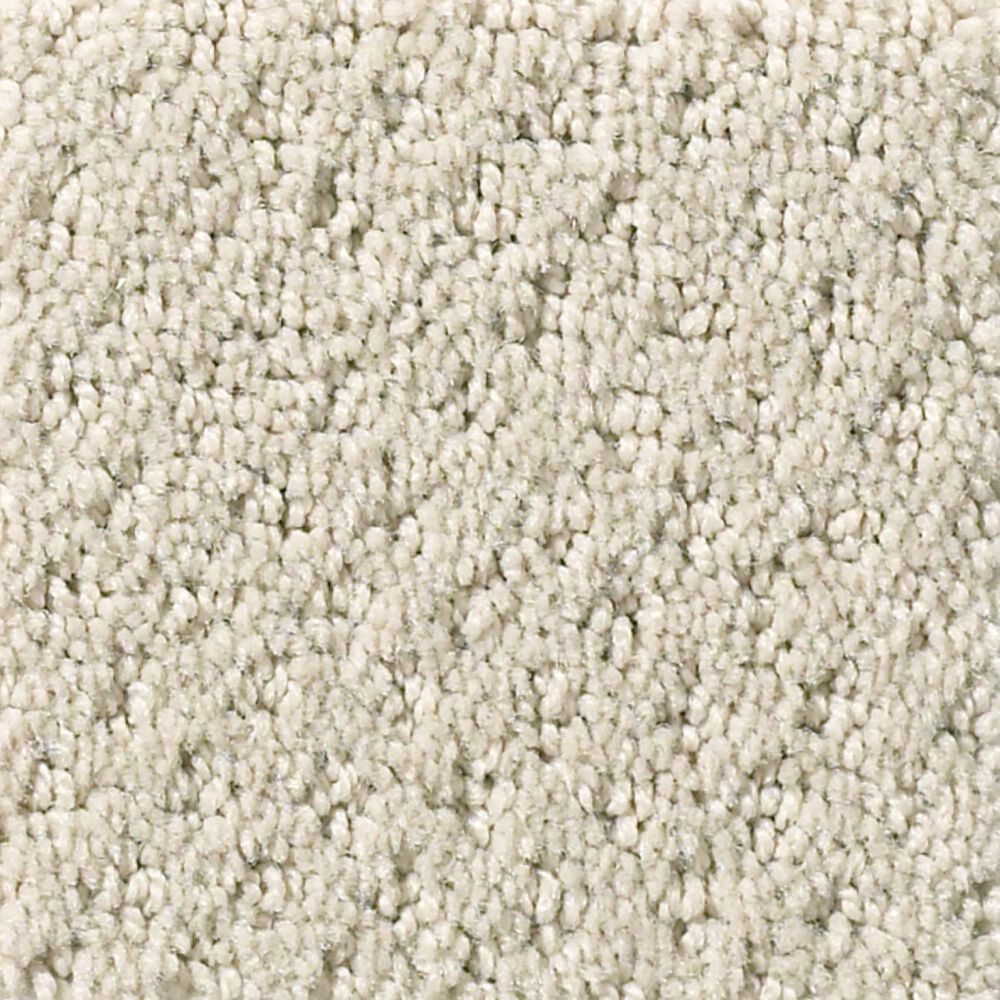 Shaw Foundations Infallible Instinct Carpet in Quiet Moment, , large