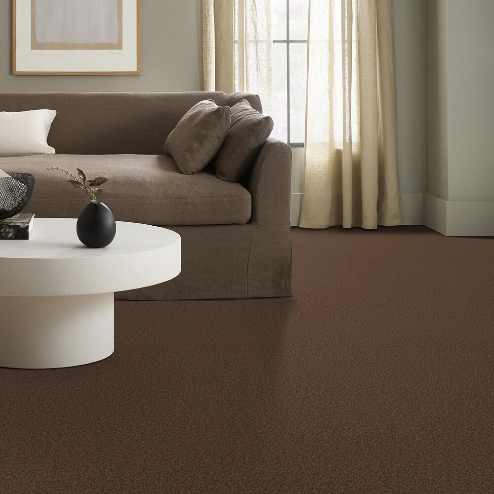 Shaw Tonal Comfort Blue Carpet in Chili, , large