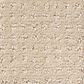 Shaw Detailed Elegance Patterned Carpet in Bare Essence, , large