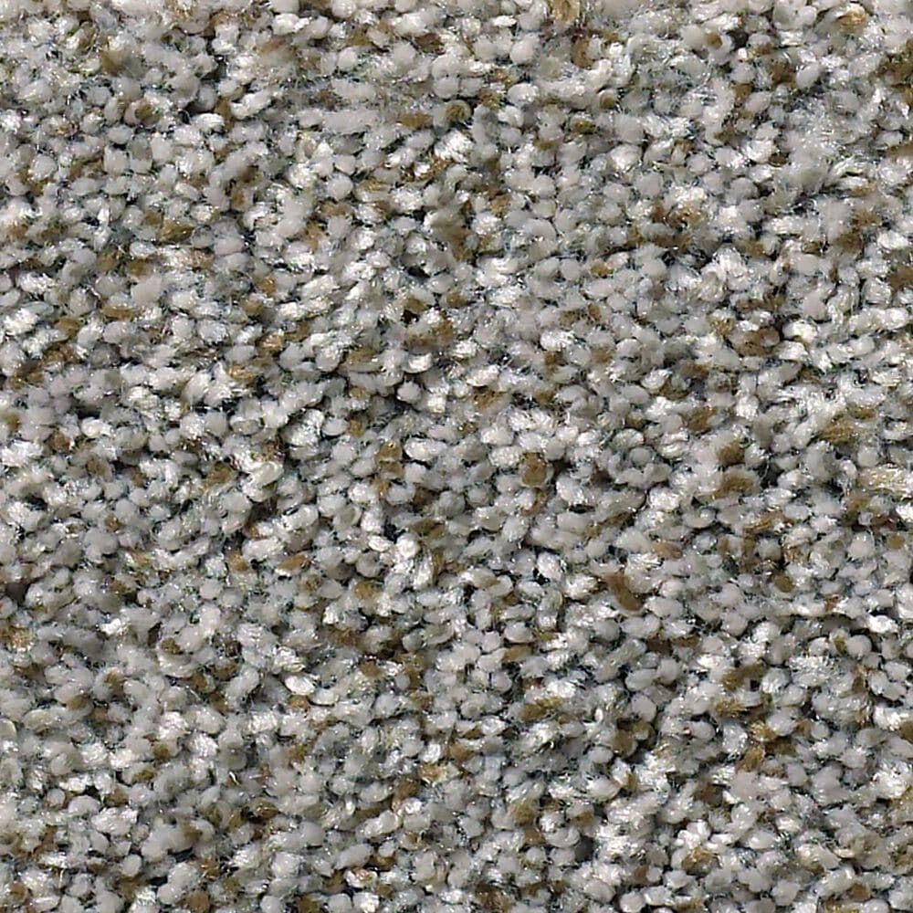 Shaw Simply the Best Cabana Life Carpet in Granite, , large