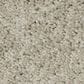 Shaw Keen Senses II Carpet in Barista, , large