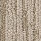 Anderson Tuftex Loom Carpet in Riviera Beach, , large