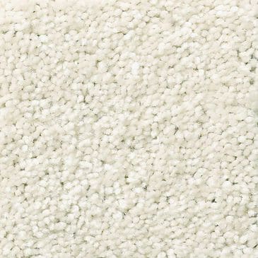 Shaw Simply the Best Attainable Carpet in Blizzard, , large