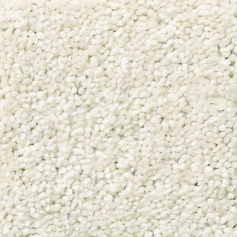 Shaw Simply the Best Attainable Carpet in Blizzard, , large