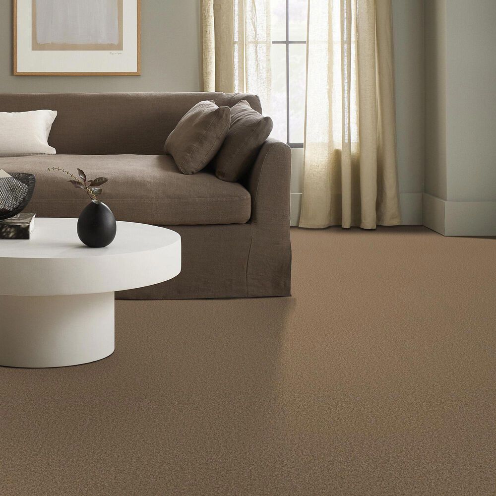 Anderson Tuftex Fabulous Carpet in Toasty, , large