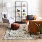 Karastan Cleo R1076 5" 3" X 8" Light Grey Area Rug, , large
