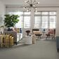 Shaw Simply the Best Attainable Carpet in Soft Fleece, , large