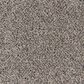 Mohawk Canine Comfort Carpet in Heron, , large