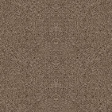 Dixie Home Winding Creek Premier Carpet in Teakwood, , large