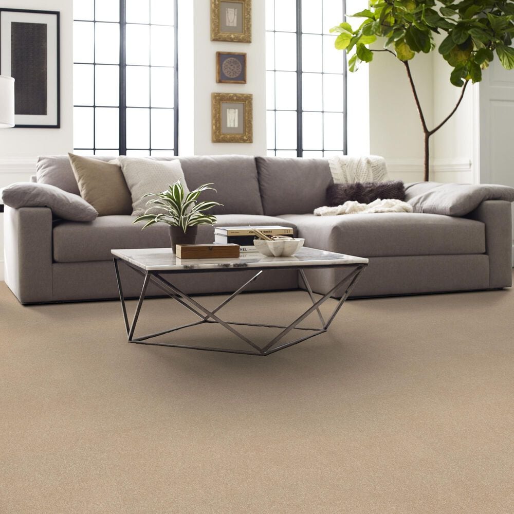 Shaw Easy Spirit I 12&#39; Carpet in Captiva, , large