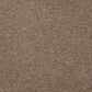 Mohawk Windsor Gardens II Carpet in Cat-Tail, , large