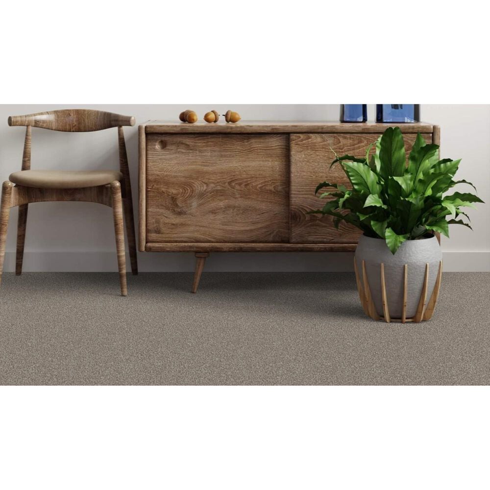 Dixie Home Bella Carpet in Greyhound, , large