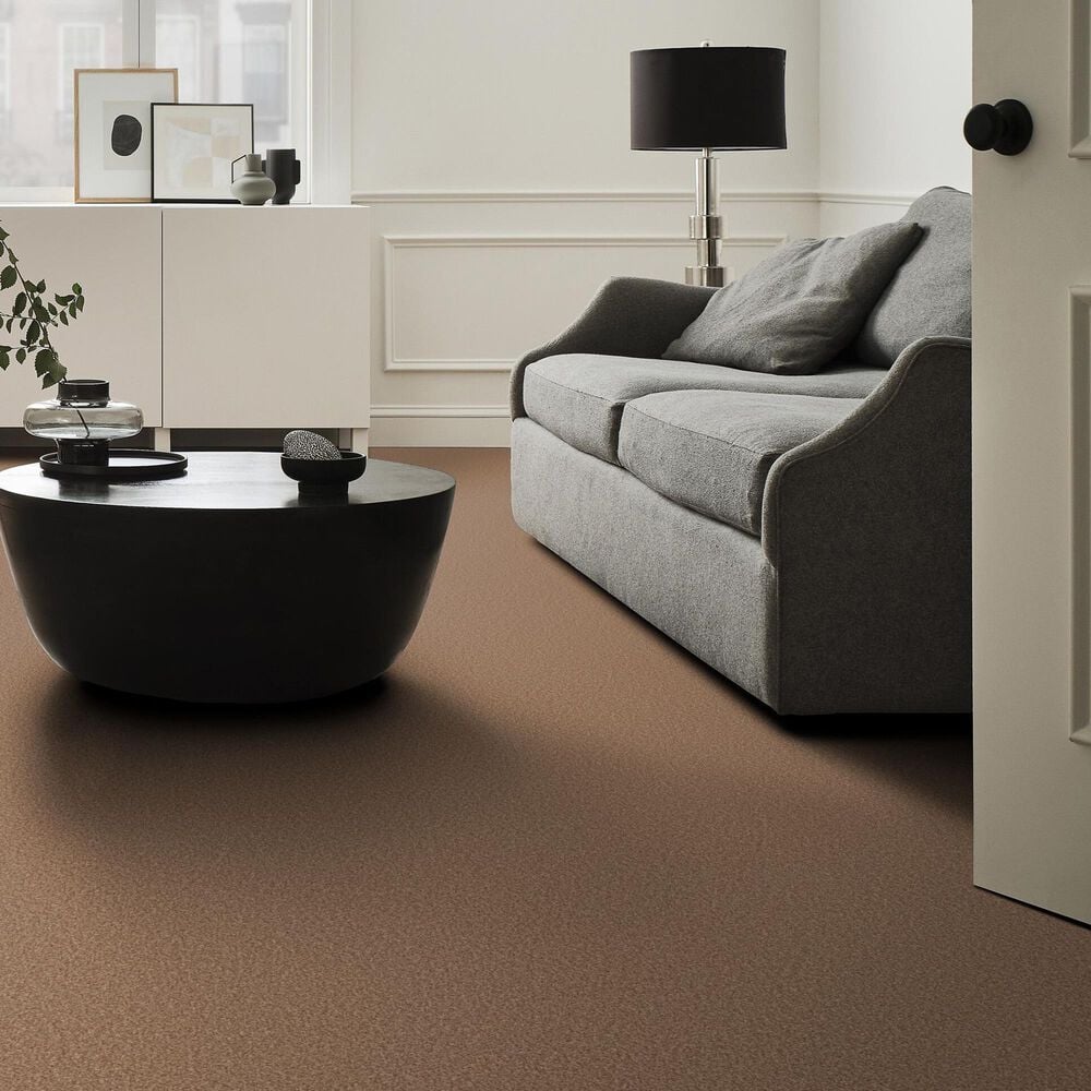 Shaw Tonal Comfort I Carpet in Terracotta Pot, , large