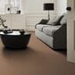 Shaw Tonal Comfort I Carpet in Terracotta Pot, , large