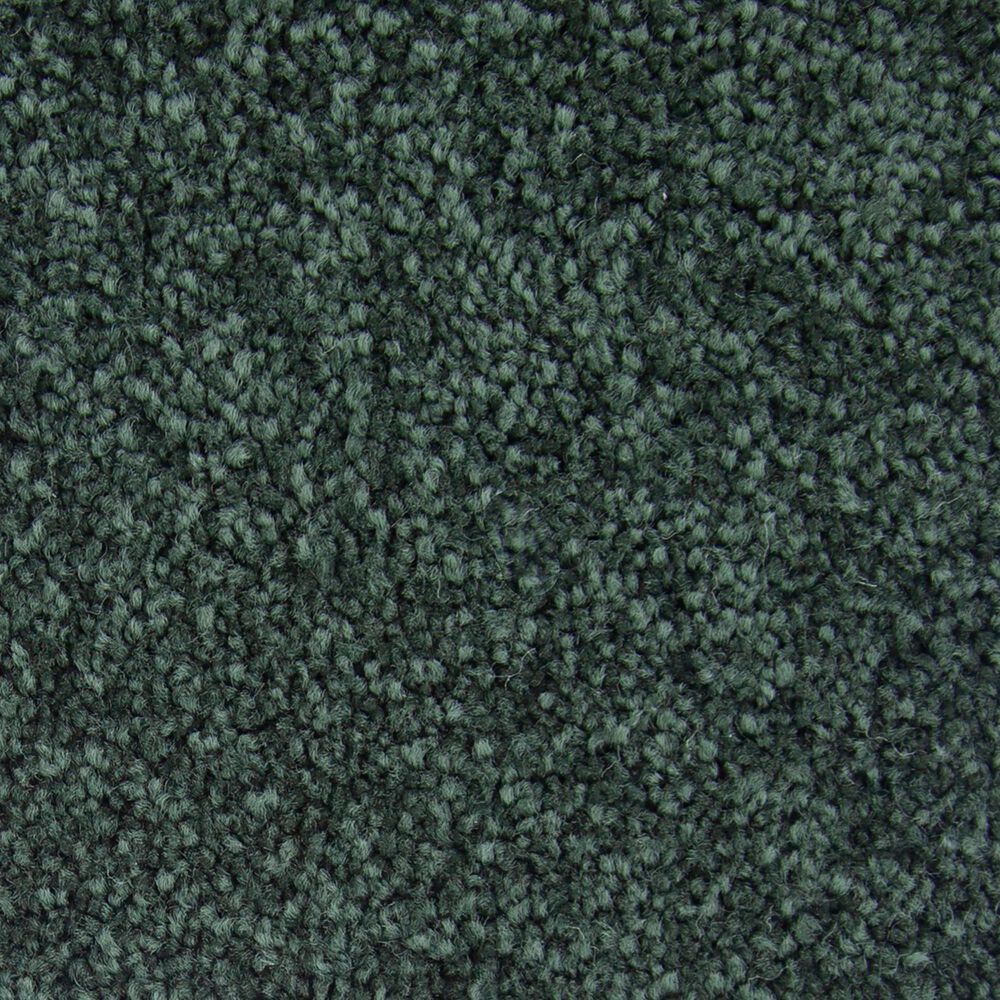 Mohawk Memorable View Carpet in Eden, , large