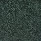 Mohawk Memorable View Carpet in Eden, , large