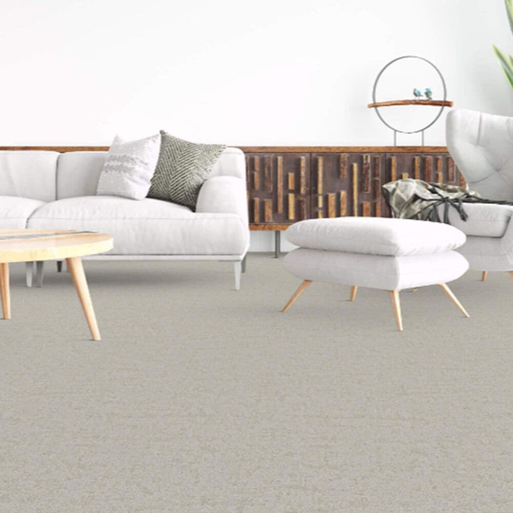 Dixie Home Genuine Carpet in Natural, , large