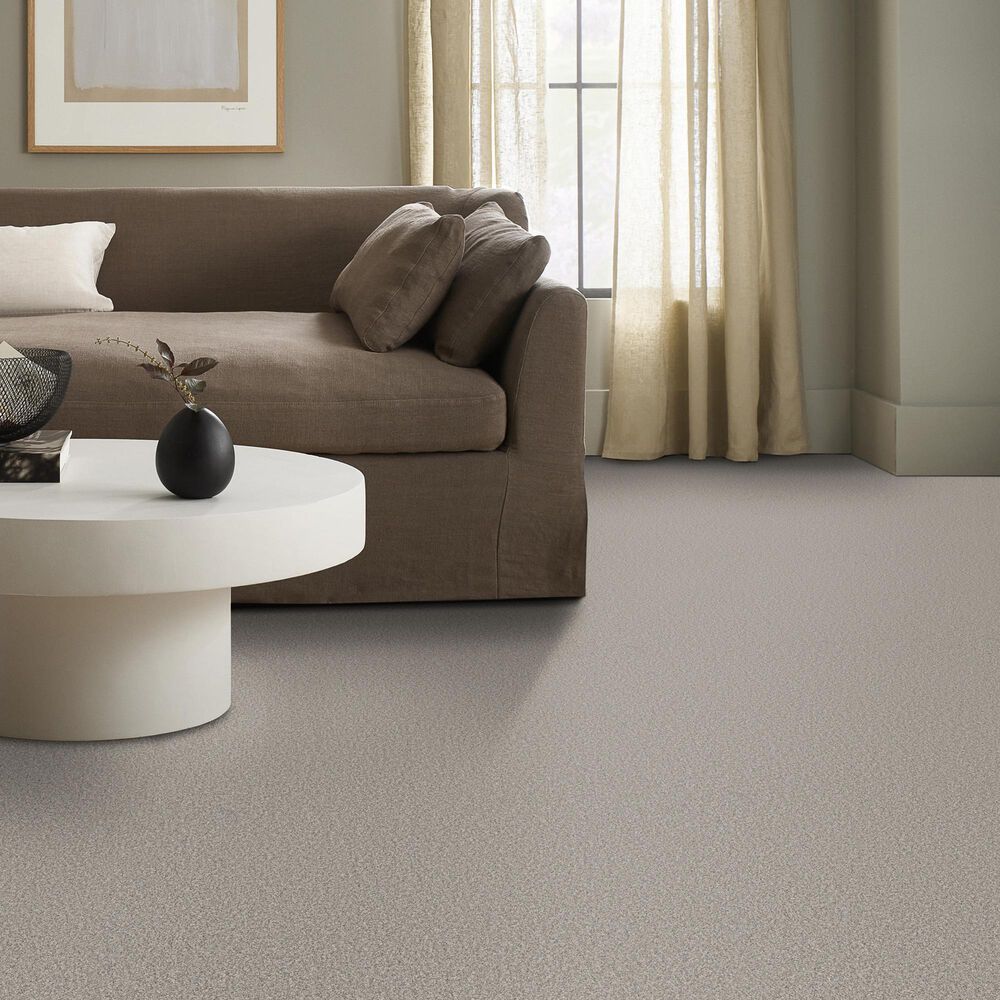 Anderson Tuftex Wyndham Estate Carpet in Moth Gray, , large