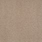 Karastan Tropical Vision Carpet in Twine, , large