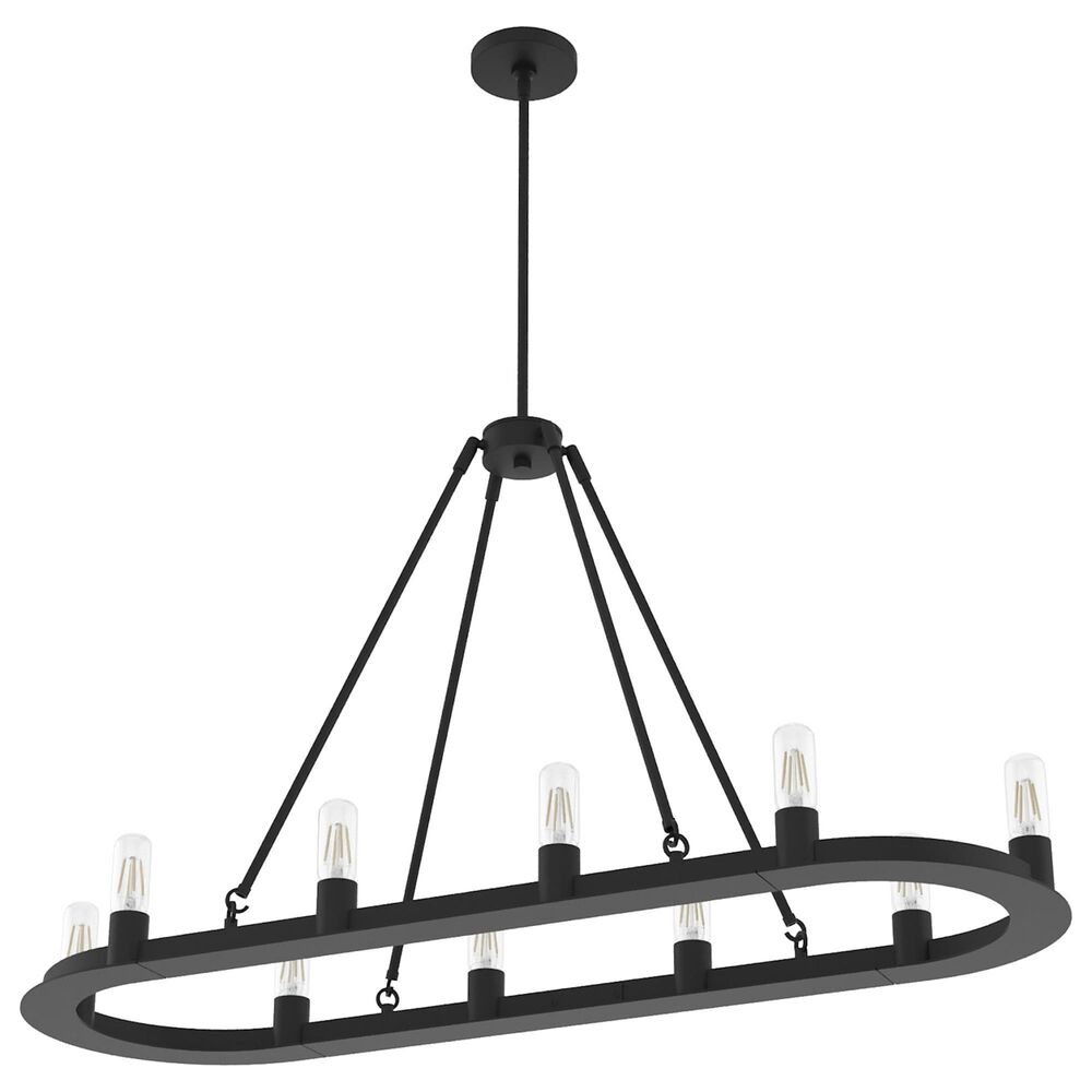 Hunter Saddlewood 10-Light Chandelier in Natural Iron, , large