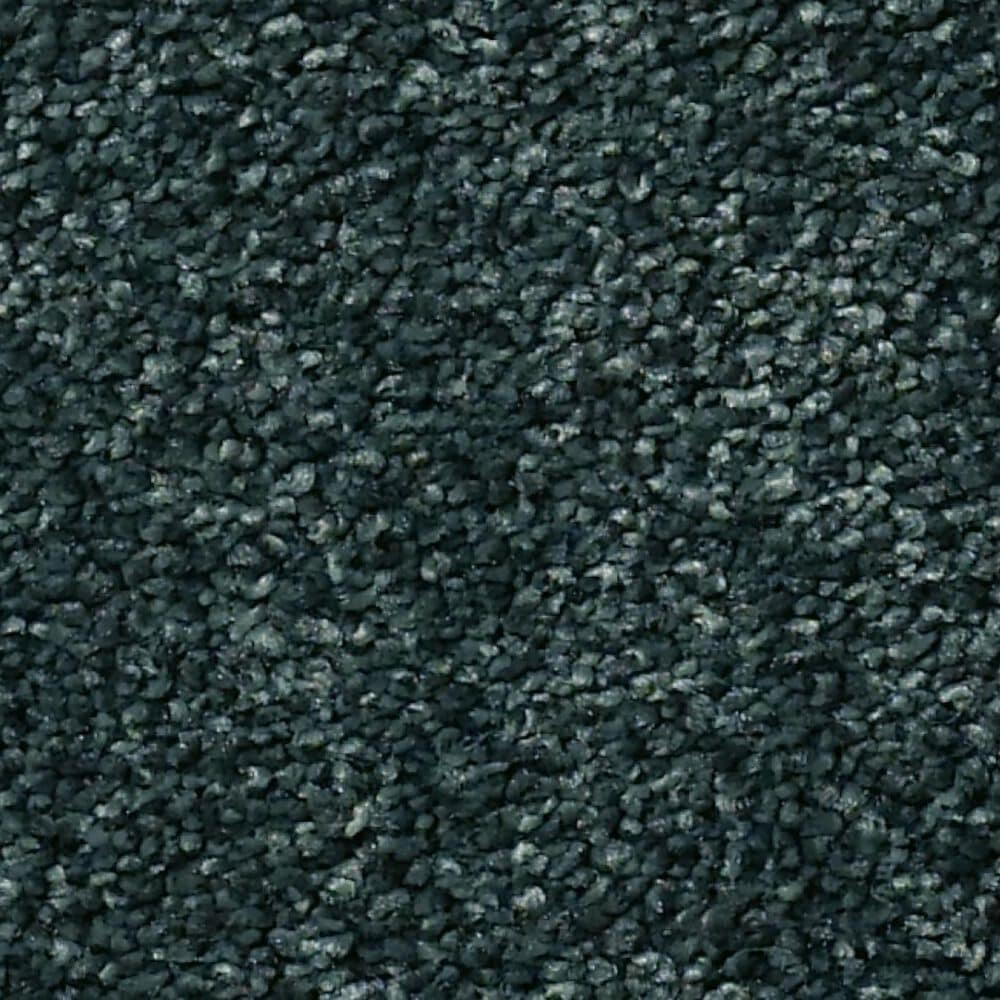 Shaw Find Your Comfort NS Blue Carpet in Hanging Vine, , large