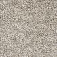 Mohawk Memorable View Carpet in Walnut Frost, , large