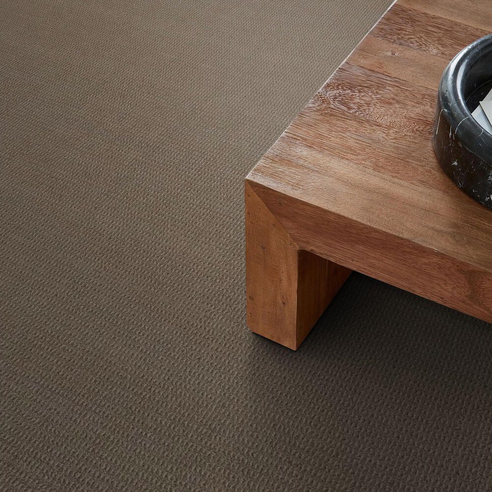 Shaw Crystal Cove Carpet in Timber Wolf, , large