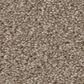 Shaw Good Move II Carpet in Grecian Tan, , large