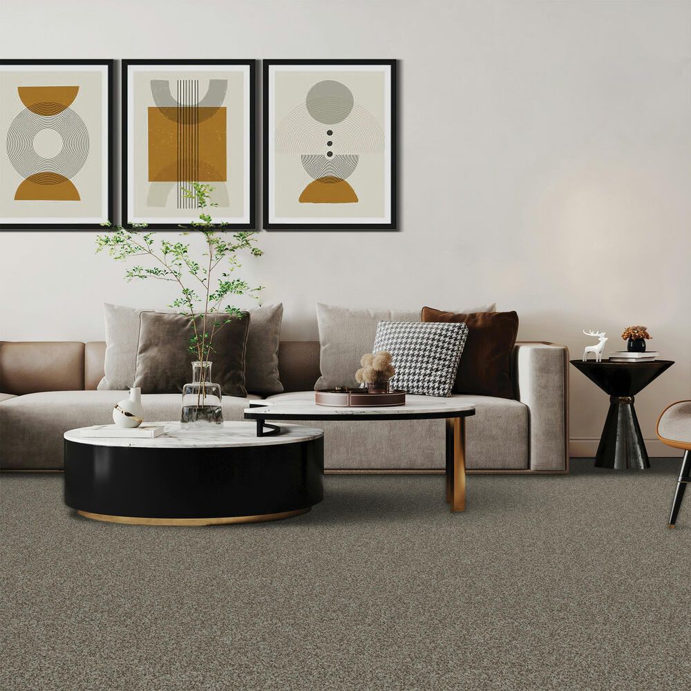 Mohawk Canine Chic Carpet North Winds, , large