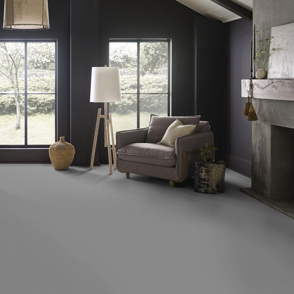Anderson Tuftex Finery Carpet in Stainless, , large