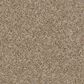Shaw Frosting Carpet in Cork, , large