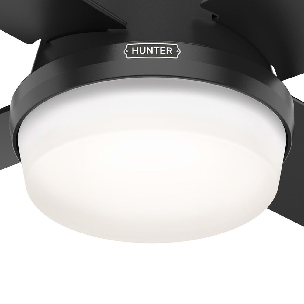 Hunter Dempsey Low Profile 44&quot; Ceiling Fan with LED Lights in Matte Black, , large