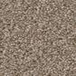 Shaw Good Move III Carpet in Grecian Tan, , large