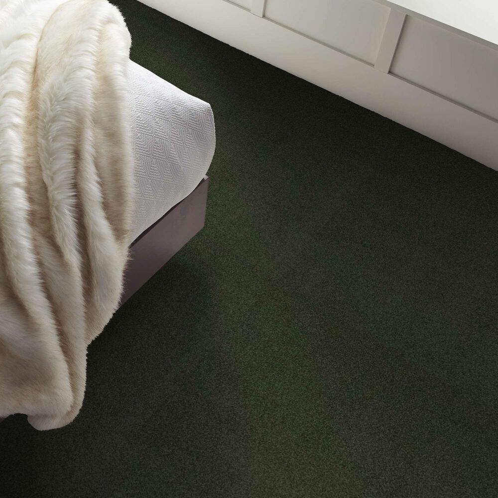 Shaw Luxuriant Carpet in Hidden Valley, , large