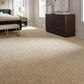 Mohawk Refined Retrievers II Carpet Harmony, , large