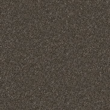 Dixie Home Herder Carpet in Schnauzer, , large