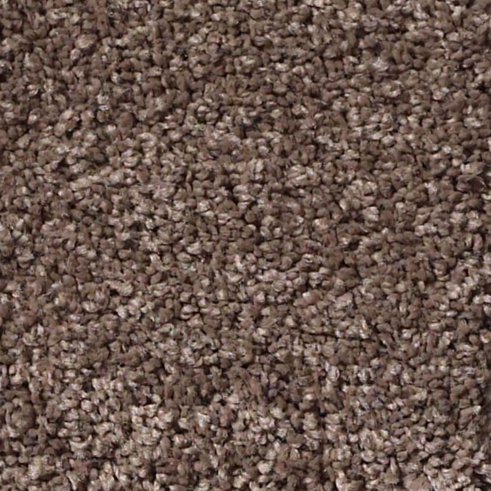 Anderson Tuftex Barracan Classic III Carpet in Spring Wood, , large