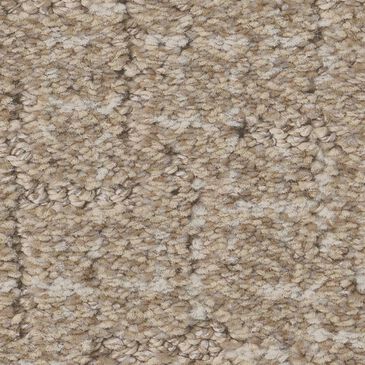 Anderson Tuftex Knickknack Carpet in Pale Almond, , large
