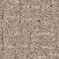 Anderson Tuftex Knickknack Carpet in Pale Almond, , large