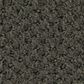 Shaw Austin Park Carpet in Cedar Glen, , large