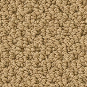 Anderson Tuftex Gracious Carpet in Summer, , large