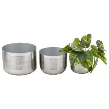 Maple and Jade Planter in Brushed Silver (Set of 3), , large