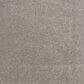 Mohawk Quality Feeling Carpet in Destiny, , large